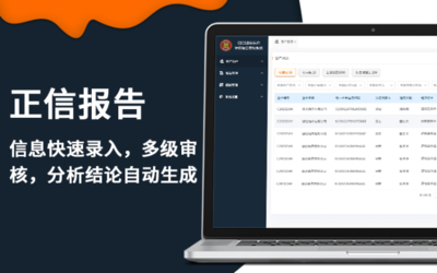 报告智能自动生成系统企业信用征信知识产权评估管理软件开发